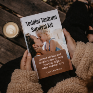 Toddler Tantrum Survival Kit